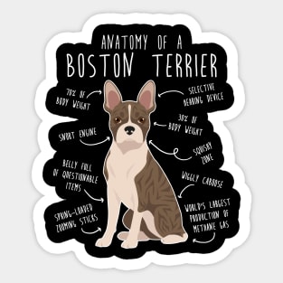 Brindle Boston Terrier Dog Anatomy Sticker